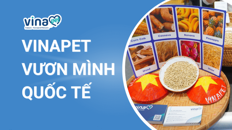 Vinapet Vươn Mình Sang Quốc Tế: Tự Hào Là Nhà Máy Đến Từ Việt Nam