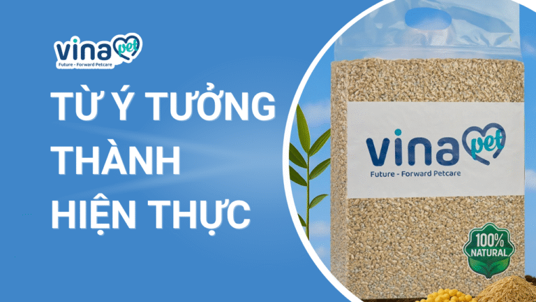 Từ Ý Tưởng Đến Hiện Thực: Câu Chuyện Đằng Sau Mỗi Sản Phẩm Của Vinapet