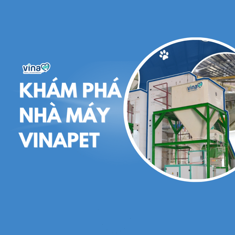 Khám Phá Nhà Máy Vinapet Nơi Sản Xuất Những Sản Phẩm Đạt Chuẩn Chất Lượng Cao Nhất Cho Thú Cưng