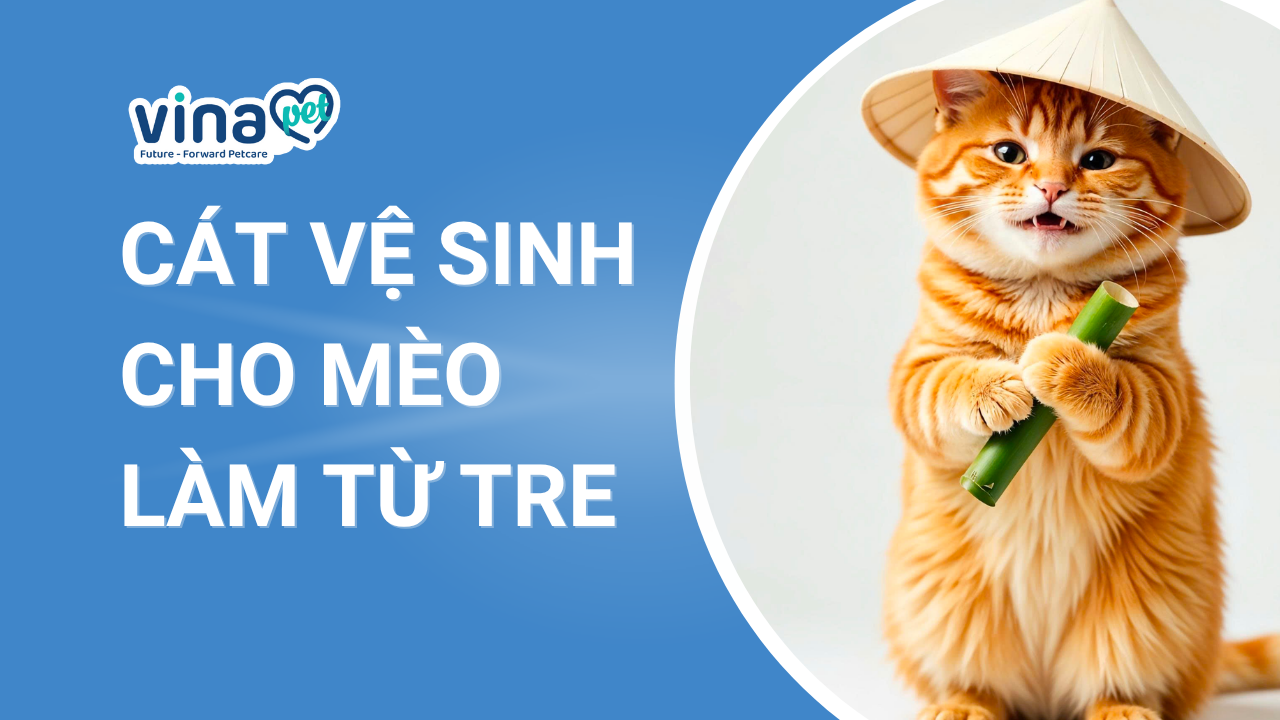 cát vệ sinh cho mèo từ tre