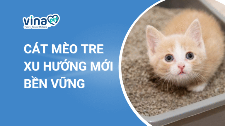 Cát Mèo Tre: Xu hướng sản xuất cát mèo bền vững và lợi thế cạnh tranh