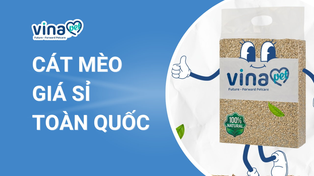 cát mèo giá sỉ toàn quốc