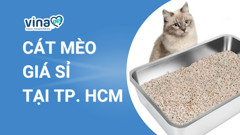 Cát Mèo Giá Rẻ TPHCM: Bí quyết tìm mua Cát Vệ Sinh Cho Mèo chất lượng, tiết kiệm