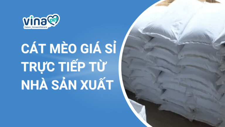 Cát mèo giá sỉ và lợi ích khi nhập cát mèo trực tiếp từ nhà sản xuất