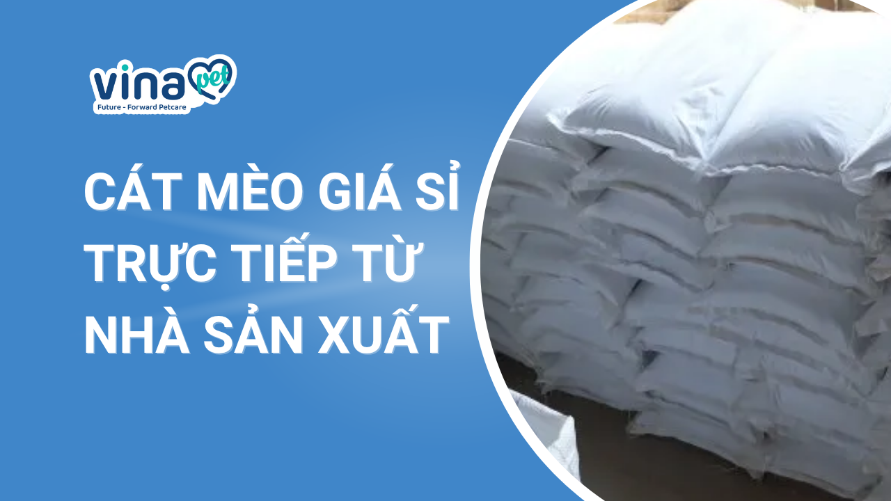 Cát mèo giá sỉ trực tiếp từ nhà sản xuất