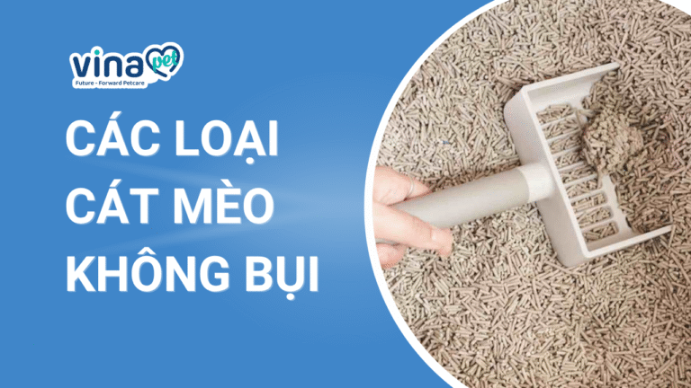 Review Chi Tiết Các Loại Cát Mèo Không Bụi