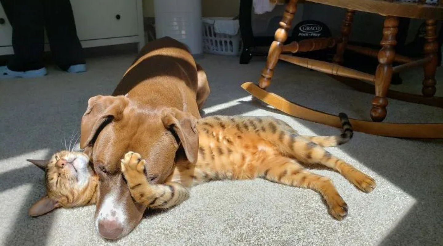 ảnh bài Blog 1440x800 (5)